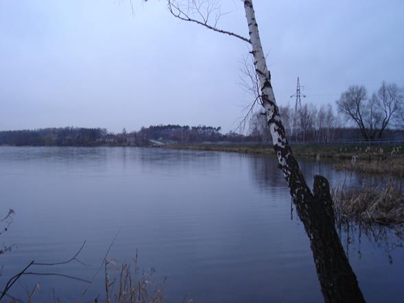 Zalew Gzel (Śląskie)