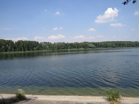 Jezioro Pławniowice (Śląskie)