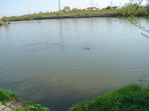 Wisla w okolicy Gromca (Oswiecim) (Śląskie)