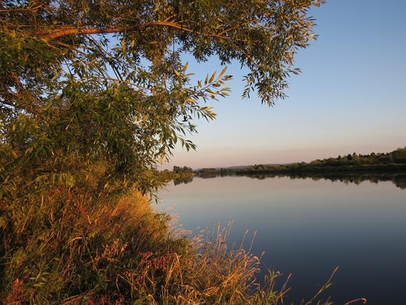 Wisła w okolicy Okleśnej (lewa strona Wisły)