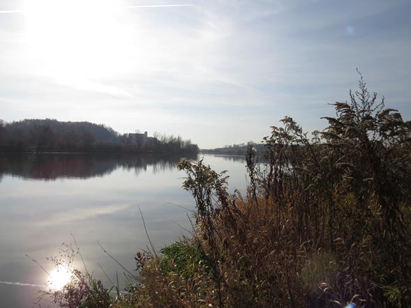 Wisła okolice Piekar (Małopolskie)